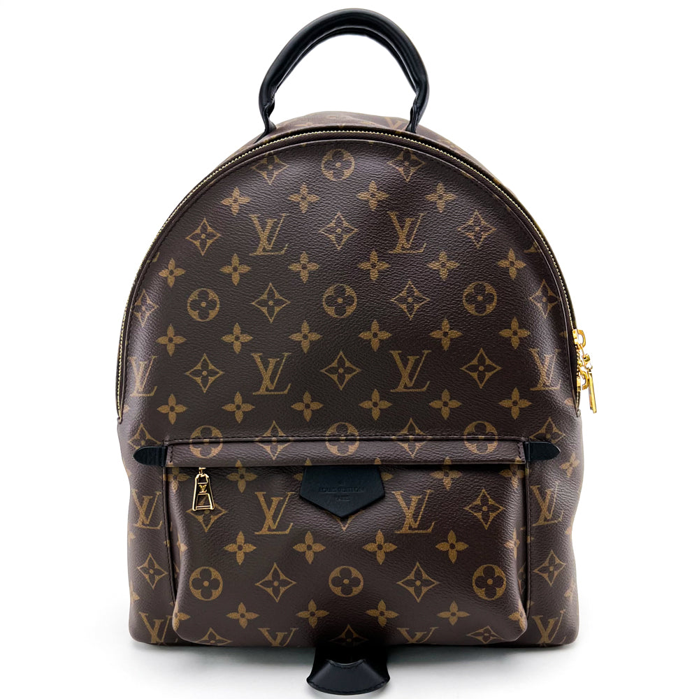 Louis Vuitton, Palm Springs Backpack
